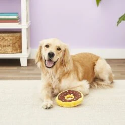 ZippyPaws Donutz Squeaky Plush No Stuffing Dog Toy 13 ZippyPaws Donutz Squeaky Plush No Stuffing Dog Toy -Dog Supply Store 104035 PT7. AC SS1800 V1523637318