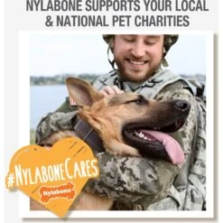 Nylabone Flavor Frenzy Power Chew Triple Pack Chili Cheese Dog -Dog Supply Store 110396 PT5. AC SS1800 V1618436224