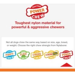 Nylabone Flavor Frenzy Power Chew Triple Pack Chili Cheese Dog -Dog Supply Store 110396 PT6. AC SS1800 V1658780098