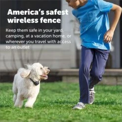 PetSafe Stay & Play Wireless Fence With Replaceable Battery Collar -Dog Supply Store 113385 PT4. AC SS1800 V1685726942