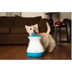 IFetch Tennis Balls -Dog Supply Store 115168 PT6. AC SS1800 V1490133396