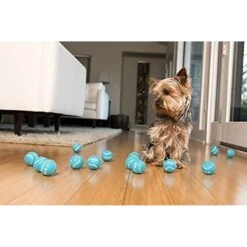 IFetch Tennis Balls -Dog Supply Store 115168 PT7. AC SS1800 V1490133397