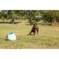 IFetch Too Automatic Ball Launcher Dog Toy 11 IFetch Too Automatic Ball Launcher Dog Toy -Dog Supply Store 115173 PT5. AC SS1800 V1490133473