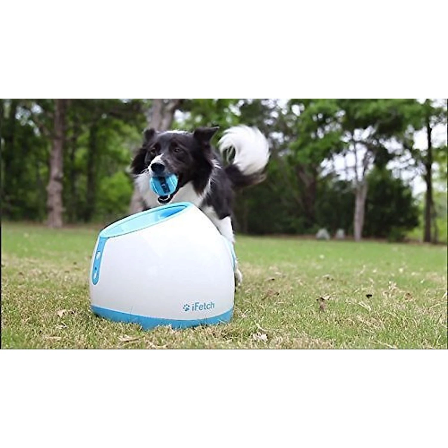 IFetch Too Automatic Ball Launcher Dog Toy 6 IFetch Too Automatic Ball Launcher Dog Toy - Image 6