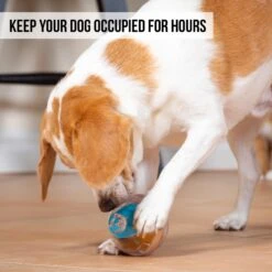 Pet Zone IQ Treat Dispenser Ball Dog Toy 10 Pet Zone IQ Treat Dispenser Ball Dog Toy -Dog Supply Store 115632 Pt3. AC SS1800 V1583771890