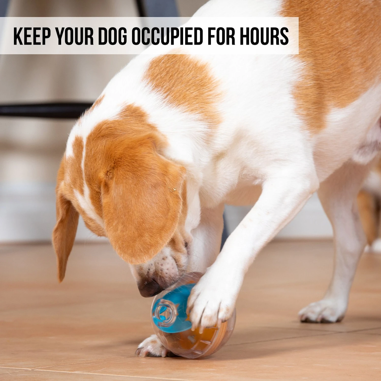 Pet Zone IQ Treat Dispenser Ball Dog Toy 4 Pet Zone IQ Treat Dispenser Ball Dog Toy - Image 4