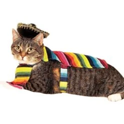 Rubie's Costume Company Serape Dog & Cat Costume -Dog Supply Store 117128 PT2. AC SS1800 V1539983906