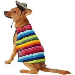 Rubie's Costume Company Serape Dog & Cat Costume -Dog Supply Store 117128 PT5. AC SS1800 V1539983912