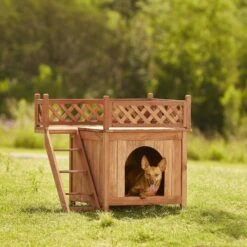 Merry Products Room With A View Wood Dog & Cat House -Dog Supply Store 118007 PT4. AC SS1800 V1562180619