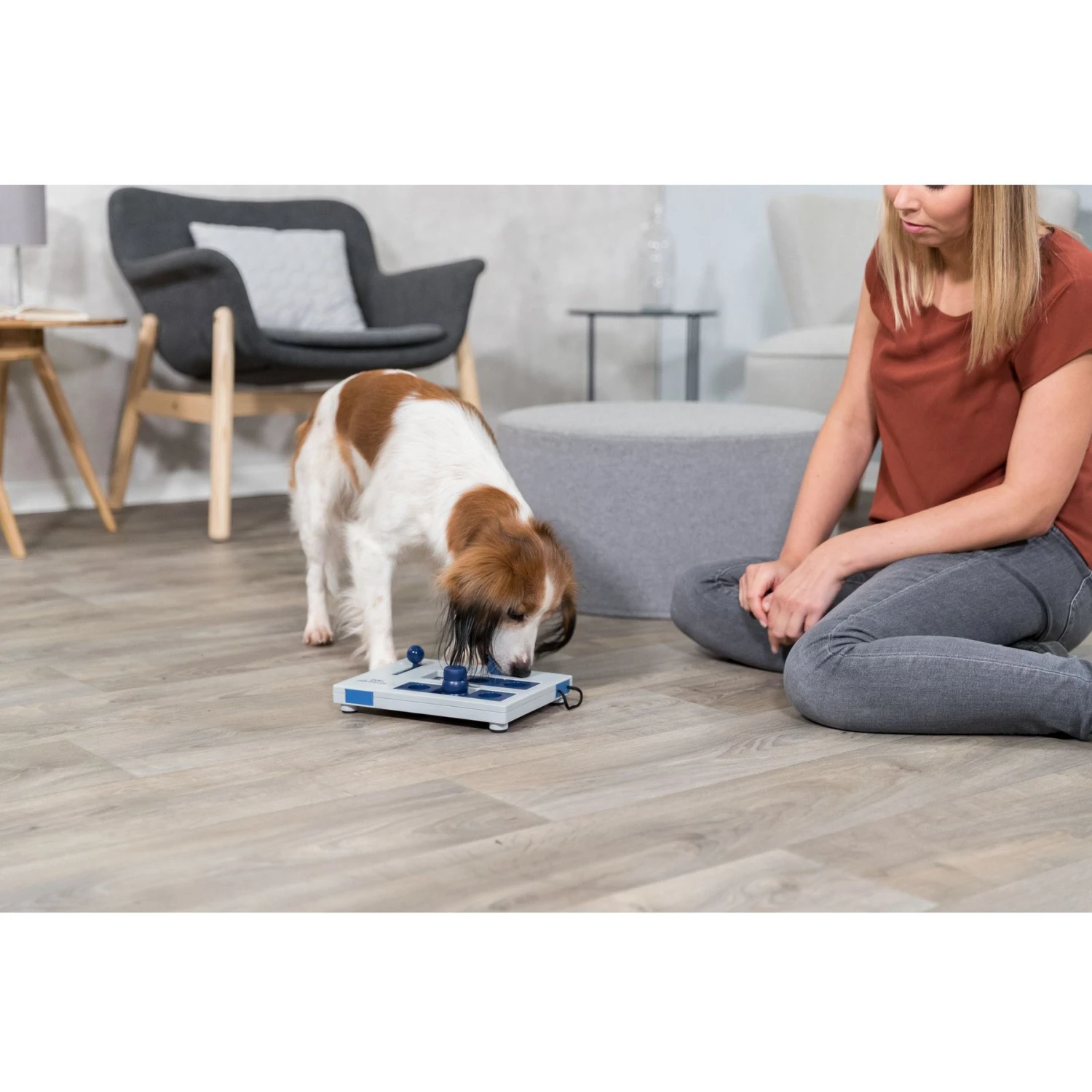 TRIXIE Mini Mover Activity Strategy Game Dog Toy, Level 3 2 TRIXIE Mini Mover Activity Strategy Game Dog Toy, Level 3 - Image 2