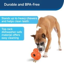 PetSafe Busy Buddy Barnacle Treat Dispenser Dog Toy -Dog Supply Store 121351 PT5. AC SS1800 V1599830754