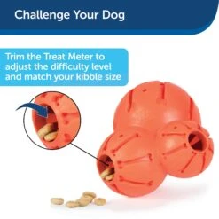 PetSafe Busy Buddy Barnacle Treat Dispenser Dog Toy -Dog Supply Store 121351 PT7. AC SS1800 V1599830757