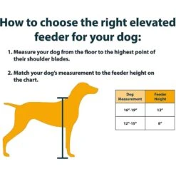 OurPets Comfort Elevated Dog & Cat Bowls 7 OurPets Comfort Elevated Dog & Cat Bowls -Dog Supply Store 122825 PT5. AC SS1800 V1539789718