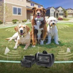Dogtra E-FENCE 3500 Containment System In-Ground Wired Fence With Rechargeable Wireless Collar -Dog Supply Store 123892 PT7. AC SS1800 V1626190585
