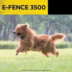 Dogtra E-FENCE 3500 Containment System In-Ground Wired Fence With Rechargeable Wireless Collar -Dog Supply Store 123892 PT8. AC SS1800 V1626191799