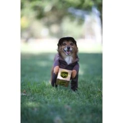California Costumes UPS Delivery Driver Dog & Cat Costume -Dog Supply Store 126528 PT3. AC SS1800 V1567183649