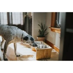 Pawfect Pets Premium Non-Skid Elevated Dog & Cat Bowl 13 Pawfect Pets Premium Non-Skid Elevated Dog & Cat Bowl -Dog Supply Store 127480 PT4. AC SS1800 V1627612941