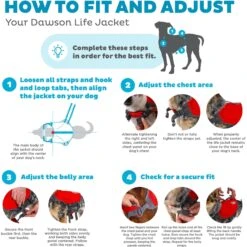 Outward Hound Neoprene Dawson Swimmer Dog Life Jacket -Dog Supply Store 127807 PT2. AC SS1800 V1636508048