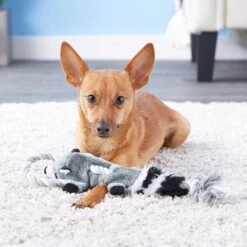 Ethical Pet Mini Skinneeez Tugs Raccoon Stuffing-Free Squeaky Plush Dog Toy 7 Ethical Pet Mini Skinneeez Tugs Raccoon Stuffing-Free Squeaky Plush Dog Toy -Dog Supply Store 129145 PT7. AC SS1800 V1527092821