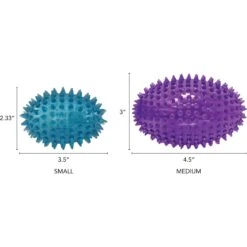 Gnawsome Squeaker Football Dog Toy, Color Varies -Dog Supply Store 129747 PT7. AC SS1800 V1534452900