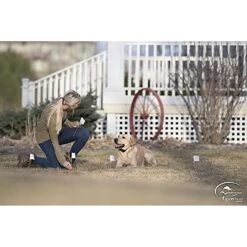 SportDOG Contain + Train System -Dog Supply Store 140659 PT4. AC SS1800 V1510778017