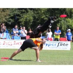 Hyperflite Jawz Disc 11 Hyperflite Jawz Disc -Dog Supply Store 140803 PT3. AC SS1800 V1518451851