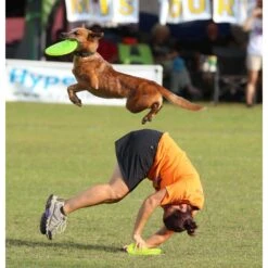 Hyperflite Jawz Disc 12 Hyperflite Jawz Disc -Dog Supply Store 140803 PT4. AC SS1800 V1518451857