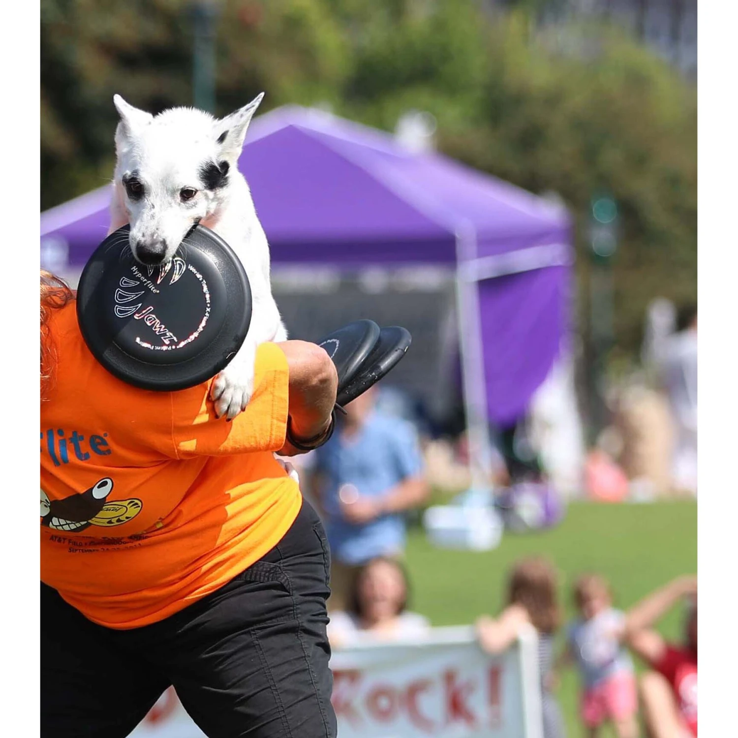 Hyperflite Jawz Disc 6 Hyperflite Jawz Disc - Image 6