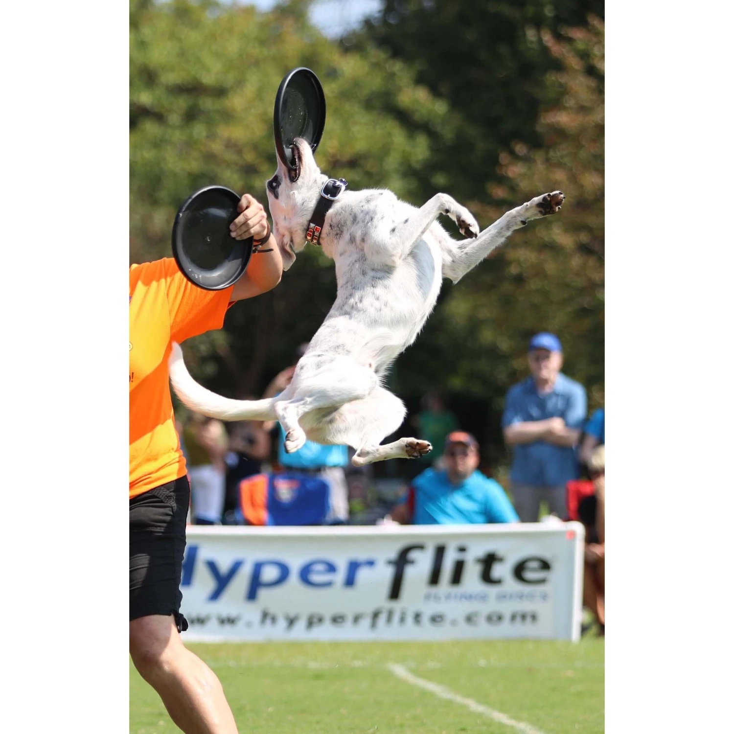 Hyperflite Jawz Disc 7 Hyperflite Jawz Disc - Image 7