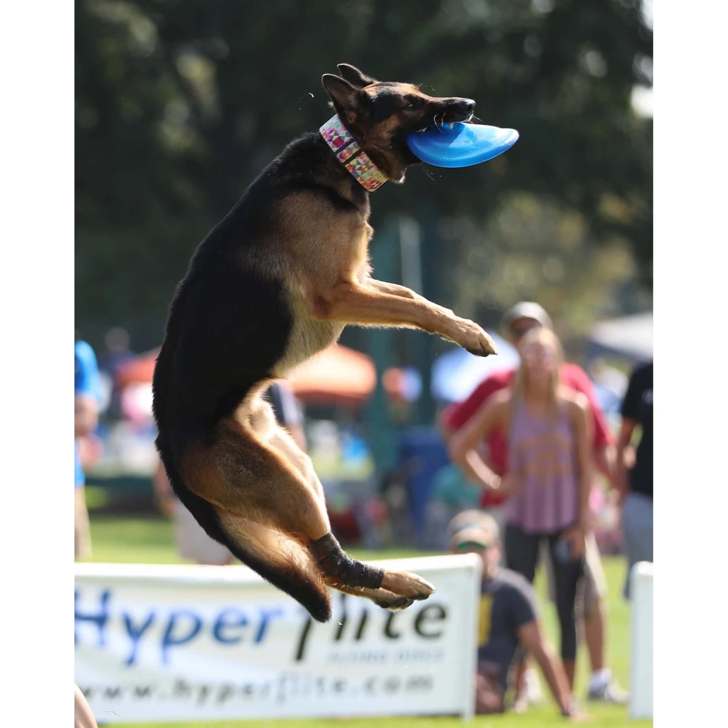 Hyperflite Jawz Disc 8 Hyperflite Jawz Disc - Image 8