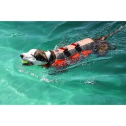 Frisco Ripstop Dog Life Jacket -Dog Supply Store 140919 PT8. AC SS1800 V1540476454