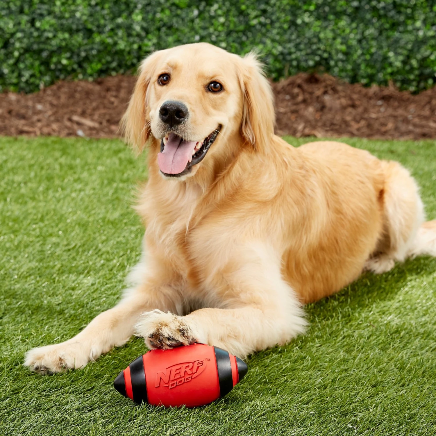 Nerf Dog Classic Squeak Football Dog Toy, Medium 2 Nerf Dog Classic Squeak Football Dog Toy, Medium - Image 2