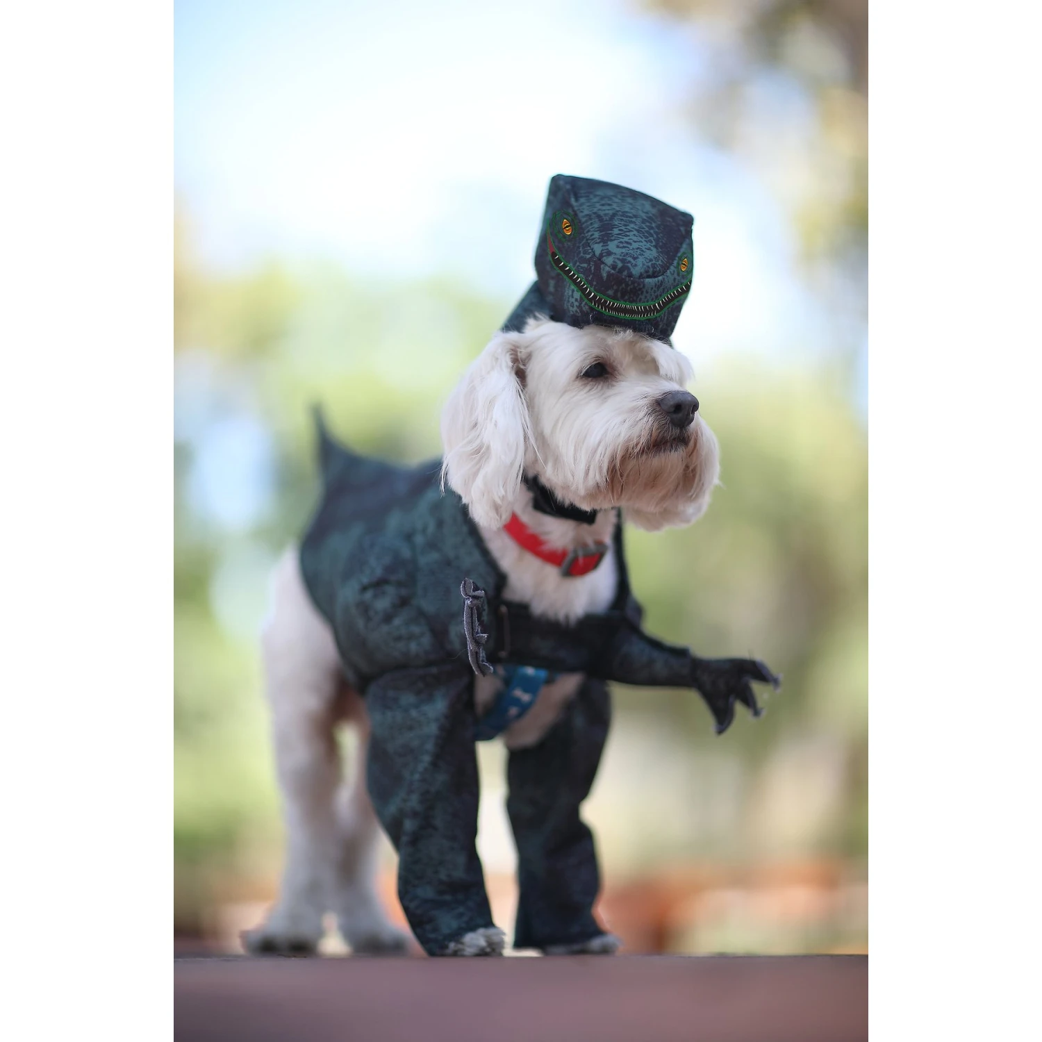 California Costumes Pupasaurus Rex Dog & Cat Costume 4 California Costumes Pupasaurus Rex Dog & Cat Costume - Image 4