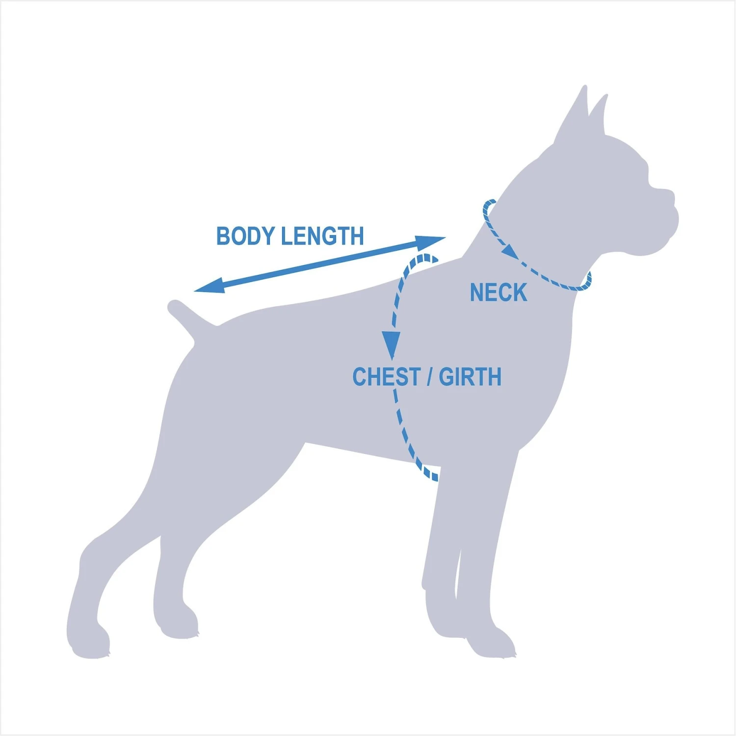 California Costumes Pupasaurus Rex Dog & Cat Costume 8 California Costumes Pupasaurus Rex Dog & Cat Costume - Image 8