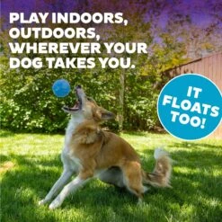 Planet Dog Orbee-Tuff Guru Treat Dispensing Dog Chew Toy -Dog Supply Store 143948 PT4. AC SS1800 V1646782698