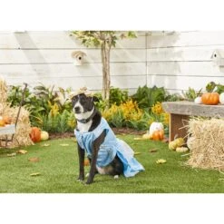 Rubie's Costume Company Cinderella Disney Princess Dog & Cat Costume -Dog Supply Store 144122 PT2. AC SS1800 V1569006192