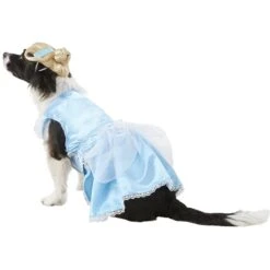 Rubie's Costume Company Cinderella Disney Princess Dog & Cat Costume -Dog Supply Store 144122 PT4. AC SS1800 V1569005881