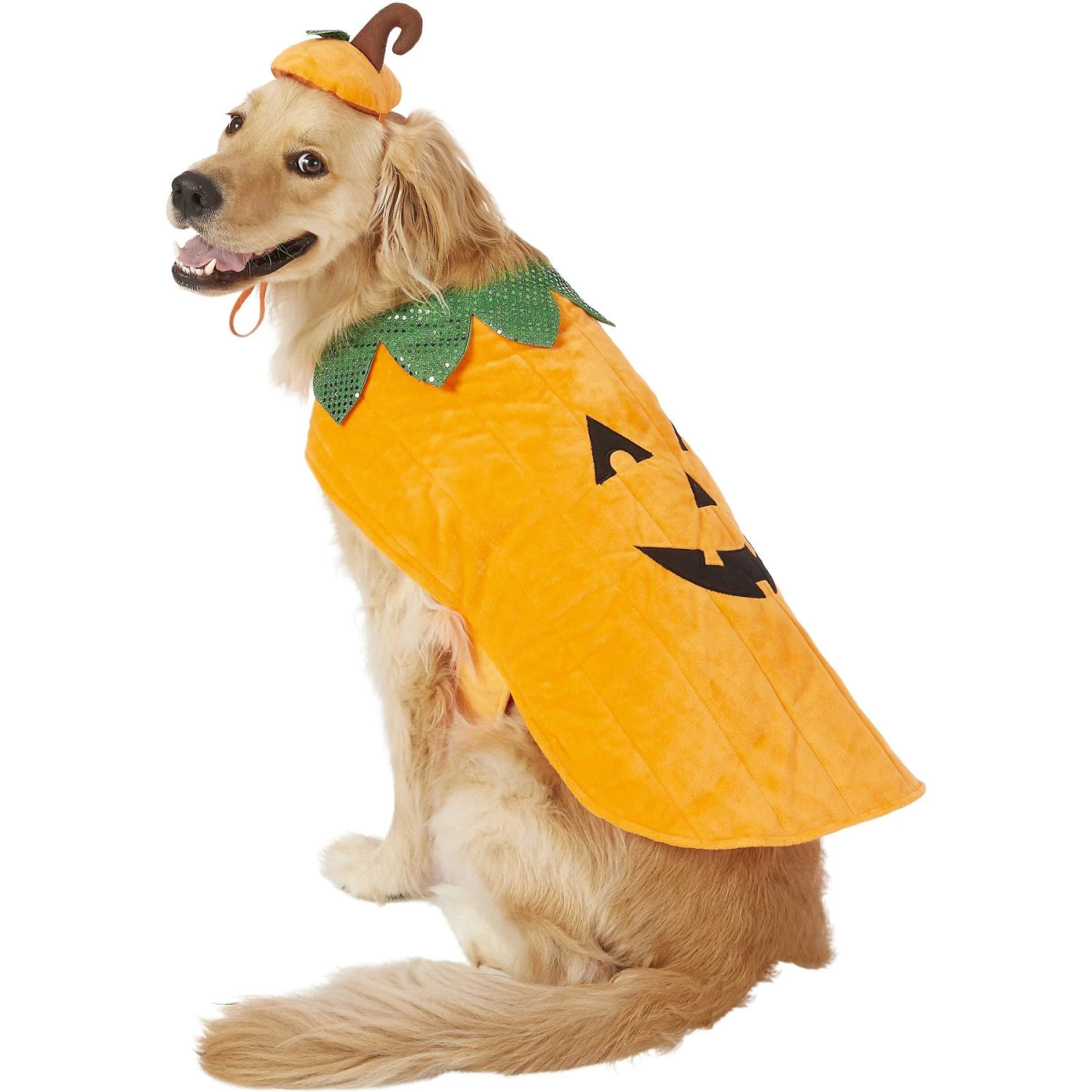 Frisco Pumpkin Dog & Cat Costume 1 Frisco Pumpkin Dog & Cat Costume
