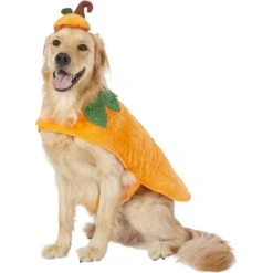 Frisco Pumpkin Dog & Cat Costume 11 Frisco Pumpkin Dog & Cat Costume -Dog Supply Store 144446 PT2. AC SS1800 V1567174700