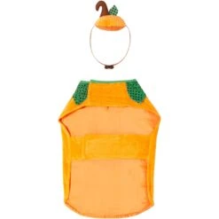 Frisco Pumpkin Dog & Cat Costume 13 Frisco Pumpkin Dog & Cat Costume -Dog Supply Store 144446 PT4. AC SS1800 V1567176587