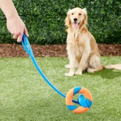 Chuckit! Ultra Ring Launcher Fetch Dog Toy -Dog Supply Store 145393 PT2. AC SS1800 V1550270847