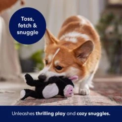 Frisco Cow Textured Plush Squeaky Dog Toy -Dog Supply Store 147059 PT5. AC SS1800 V1691776636