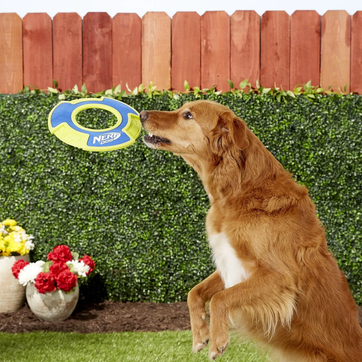 Nerf Dog Nylon & Foam Mega Tuff Fabric Flyer Dog Toy 2 Nerf Dog Nylon & Foam Mega Tuff Fabric Flyer Dog Toy - Image 2