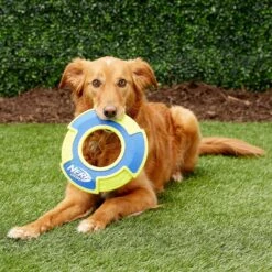 Nerf Dog Nylon & Foam Mega Tuff Fabric Flyer Dog Toy 7 Nerf Dog Nylon & Foam Mega Tuff Fabric Flyer Dog Toy -Dog Supply Store 148504 PT2. AC SS1800 V1545252444