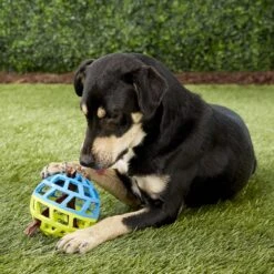 Nerf Dog EXO Treat Dispensing Ball Dog Toy 13 Nerf Dog EXO Treat Dispensing Ball Dog Toy -Dog Supply Store 148523 PT5. AC SS1800 V1531937556