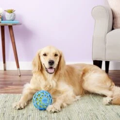 Nerf Dog EXO Treat Dispensing Ball Dog Toy 14 Nerf Dog EXO Treat Dispensing Ball Dog Toy -Dog Supply Store 148523 PT6. AC SS1800 V1531937566