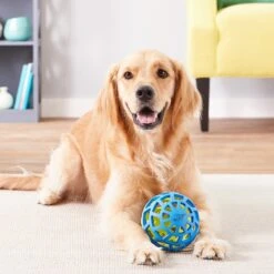 Nerf Dog EXO Treat Dispensing Ball Dog Toy 15 Nerf Dog EXO Treat Dispensing Ball Dog Toy -Dog Supply Store 148523 PT7. AC SS1800 V1545252610