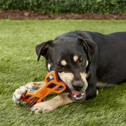 Nerf Dog EXO Treat Dispensing Bone Dog Toy -Dog Supply Store 148525 PT5. AC SS1800 V1531938420