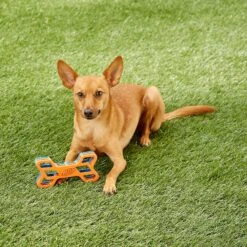 Nerf Dog EXO Treat Dispensing Bone Dog Toy -Dog Supply Store 148525 PT7. AC SS1800 V1545252620