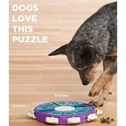 Nina Ottosson By Outward Hound Twister Puzzle Game Dog Toy -Dog Supply Store 148598 PT3. AC SS1800 V1636520250